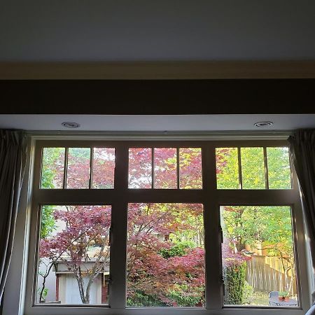 Elegant, Sunny Modern Home With Skylights - Kitsilano, Ванкувер Экстерьер фото
